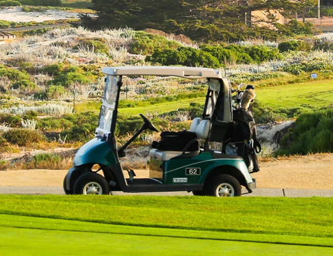 Lithium Golf Cart Battery