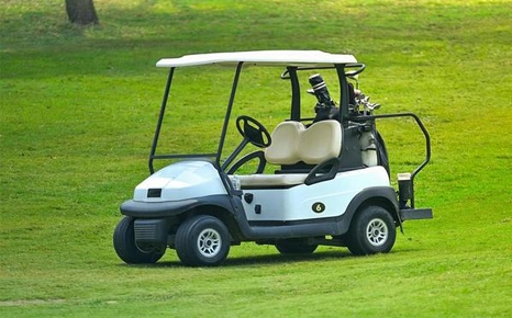Golf Cart Battery