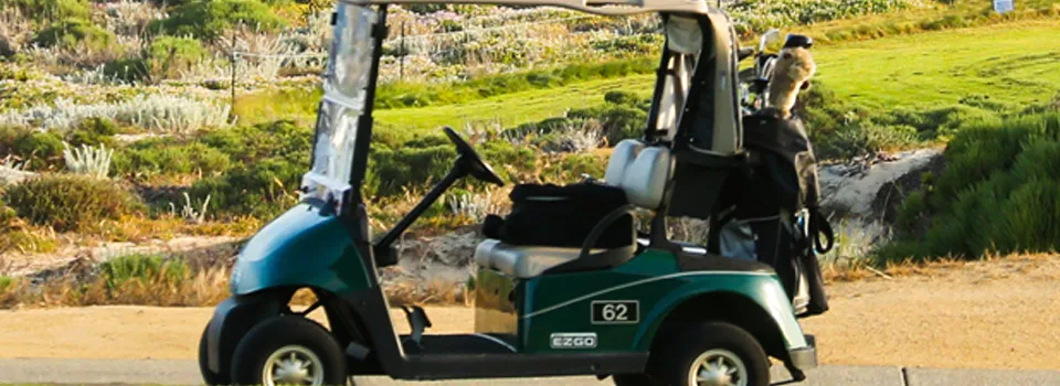 72V(76.8V) LiFePO4 Batteries