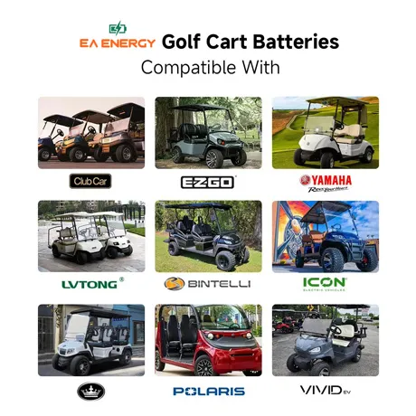 48V 200Ah Lithium Golf Cart Battery